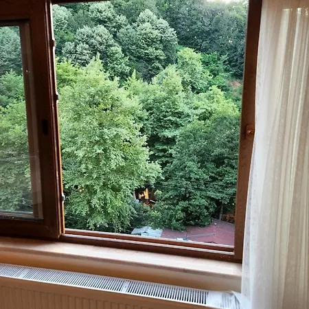 Mersu A'la Hotel