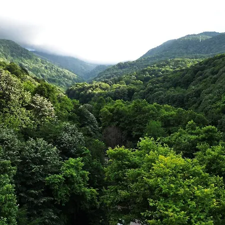 Mersu A'la * Sapanca