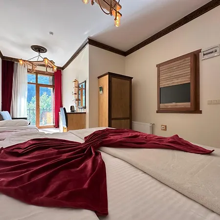 Mersu A'la Hotel Sapanca