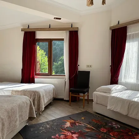 Mersu A'la Hotel Sapanca