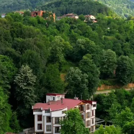 Mersu A'la * Sapanca