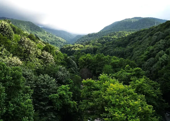 Mersu A'la * Sapanca