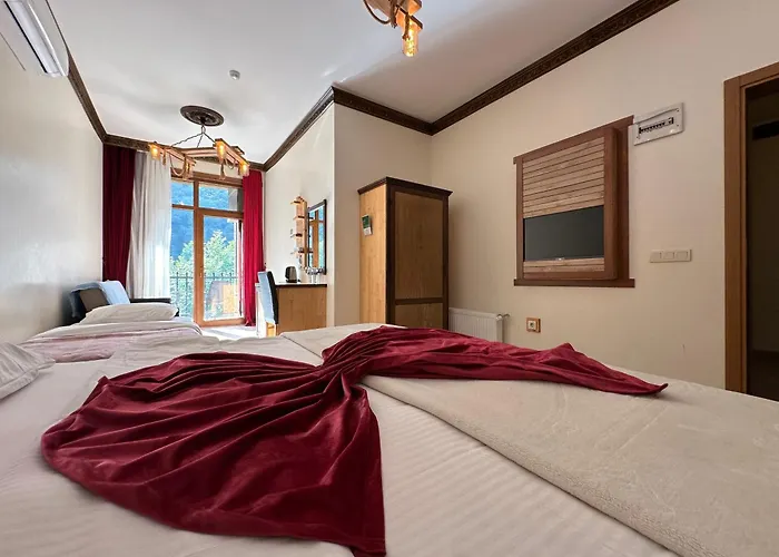 Mersu A'la Hotel Sapanca