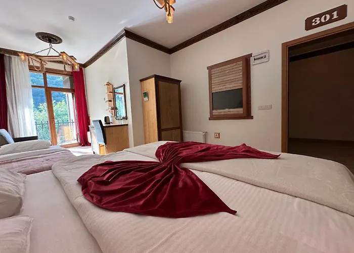 Hotel Mersu A'la