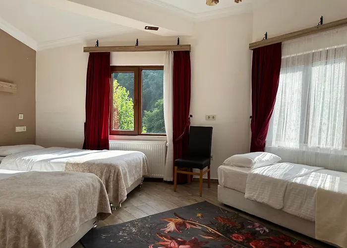 Mersu A'la Hotel Sapanca